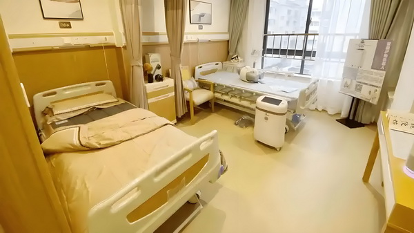 弃妇种田养包子：修仙小村姑